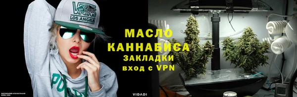 прущие грибы Аркадак