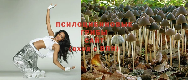 молекула духа Балахна
