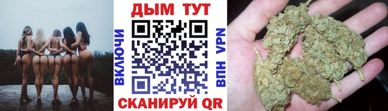 Канабис семена  мориарти телеграм  Звенигово 